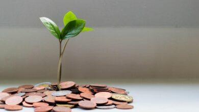 كيفية ادخار المال 2026: دليل شامل لبناء ثروتك من الصفر كيفية ادخار المال 2026: دليل شامل لبناء ثروتك من الصفر